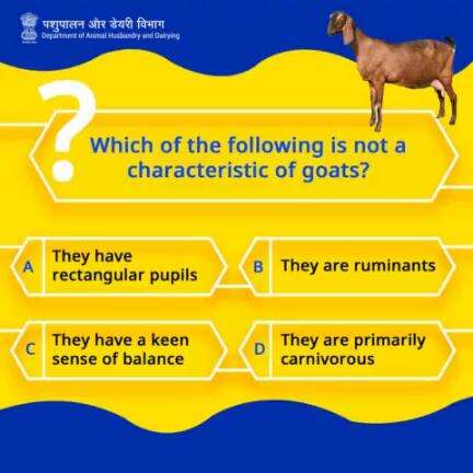 Test your knowledge! 
Can you spot the odd one out? Comment your guess below! 
#Quiz #knowaboutthegoat #quiztime