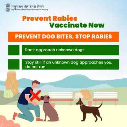 Prevent Rabies, Vaccinate Now! 
PREVENT DOG BITES, STOP RABIES: Stay still if approached by an unknown dog, don't run. #PreventRabies #vaccinatenow