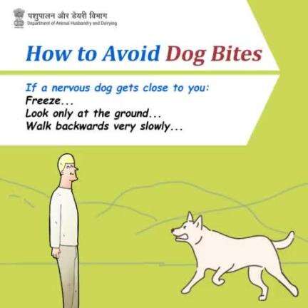 Stay still, eyes down, and slowly step back to avoid dog bites. 
#DogSafety #avoiddogbites #PreventRabies #vaccinatenow