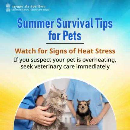 Know the signs, save a life!
Watch for symptoms of heat stress in pets: panting, drooling, weakness. If you suspect heatstroke, act fast—seek vet care immediately.
#LivestockHeatRelief #summersurvivaltips