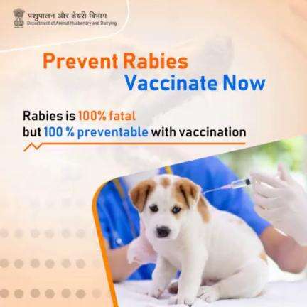 Protect your loved ones from Rabies. Vaccinate your pet now to prevent this deadly disease. Remember, Rabies is 100% fatal, but 100% preventable with vaccination. #PreventRabies #VaccinateNow