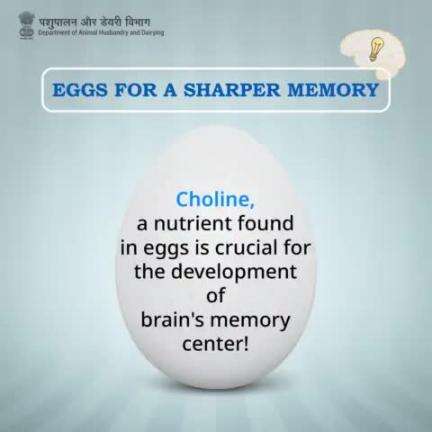 Eggs: Fuel for Thought! 
Did you know? 
Choline, a key nutrient found in eggs, is vital in developing the brain's memory center. #EggBenefits  #HealthyLiving #balancednutrition