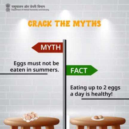 Crack the myths and enjoy your sunny side up!
 #EggBenefits #Health #Nutrition #eggs