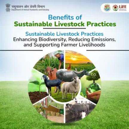 Discover the advantages of sustainable livestock practices: enhancing biodiversity, reducing emissions, and supporting farmer livelihoods. #WorldEnvironmentDay #SustainableLivestock
#MissionLiFE #Biodiversity  #FarmerSupport