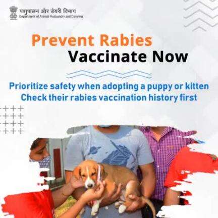 Prevent Rabies, Vaccinate Now:  For your pet's safety, it's the vow. Before adopting a new furry friend, Check their rabies vaccination history too! 
#RabiesAwareness #PetSafety #PreventRabies #vaccinatenow