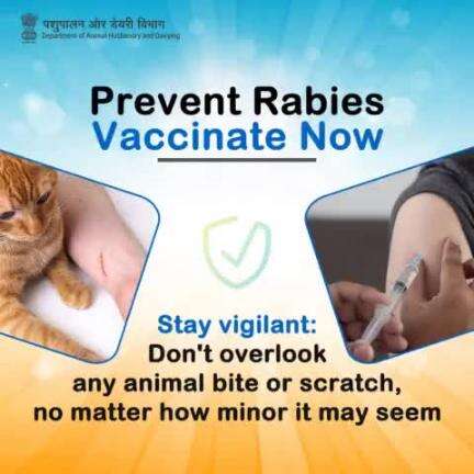 Stay vigilant against rabies! 
Don't ignore any animal bite or scratch, even if it seems minor. Take every bite seriously and seek medical attention promptly. Prevention starts with awareness. #PreventRabies #StayVigilant