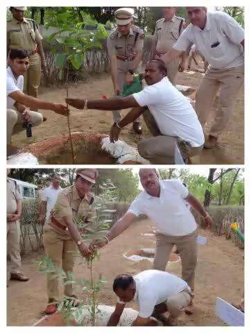 #राजस्थान_पुलिस_स्थापना_दिवस के अवसर पर वृक्षारोपण।

#RajasthanPoloceDiwasDay