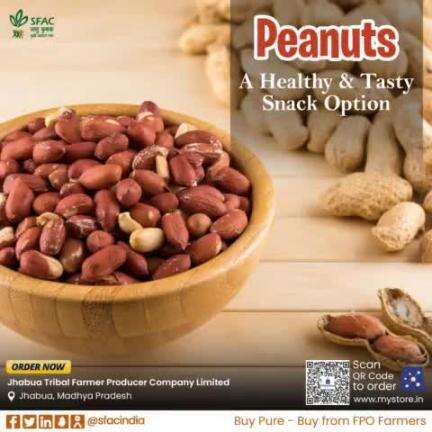 A protein-rich, crunchy & healthy snack, perfect for on-the-go munching. Also, add these premium-quality peanuts to your favorite recipes.
Buy straight from FPO farmers 👇
https://www.mystore.in/en/product/peanuts-5