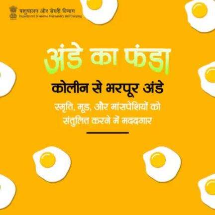 अंडे स्वास्थ्य और संतुलित जीवन के लिए महत्वपूर्ण खाद्य पदार्थ हैं। इनमें उपस्थित पोषक तत्व हमारे शारीरिक और मानसिक स्वास्थ्य को बनाए रखने के लिए आवश्यक होते हैं। 
 #EggBenefits #Health #Nutrition #eggs