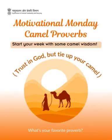 Start your week with camel wisdom!
 'Trust in God, but tie up your camel.' 
What's your favorite proverb?
#camelday #DesertLifeline #CamelCulture #DesertCommunities #SustainableLiving