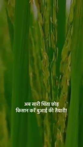 अब सारी चिंता छोड़ किसान करें बुआई की तैयारी!

मुख्यमन्त्री श्री विष्णुदेव साय ने ख़रीफ़ फसल की तैयारियों के संबंध में ली कृषि विभाग की बैठक।