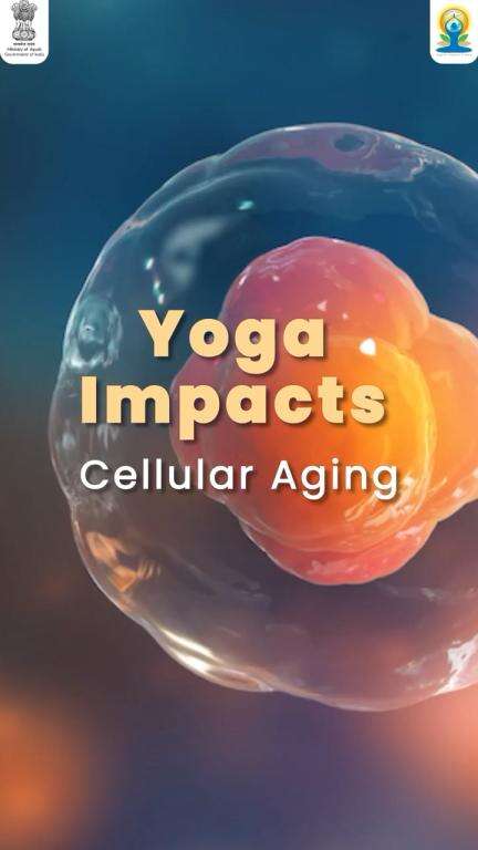 The impact of Yoga on Cellular Ageing

#YogaForSelfAndSociety #IDY2024 #MoA #CCRH #InternationalYogaDay2024