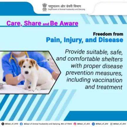 Ensuring freedom from pain, injury, or disease means preventing illness and providing rapid diagnosis and treatment. Regular veterinary care is a must! 
#AnimalRights #FreedomFromPain #DeptofAnimalHusbandry