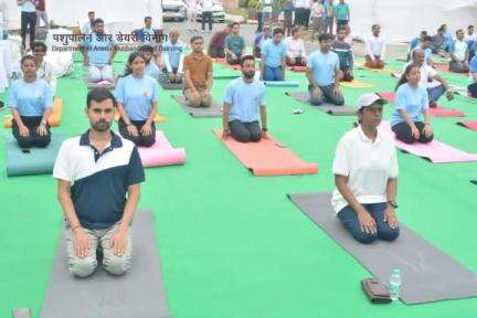 Starting the day with a dose of wellness :
the Department of Animal Husbandry & Dairying, Government of India, celebrated the 10th International Day of Yoga at Krishi Bhawan, New Delhi & chandralok building, Janpath. #IDY2024