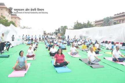 In celebration of 10th International Day of Yoga, Shri Rajiv Ranjan Singh, Hon'ble Minister of Fisheries, Animal Husbandry & Dairying, GoI, participated in a yoga session at Krishi Bhawan, New Delhi. #IDY2024