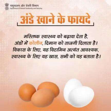 अंडे खाने के फायदे अनगिनत हैं। इनमें कोलीन, प्रोटीन, विटामिन डी, विटामिन बी12, और अन्य महत्वपूर्ण पोषक तत्व होते हैं, जो हमारे शारीरिक और मानसिक स्वास्थ्य को संतुलित रखने में मदद करते हैं।
#NationalEggDay #EggBenefits #Health #Nutrition