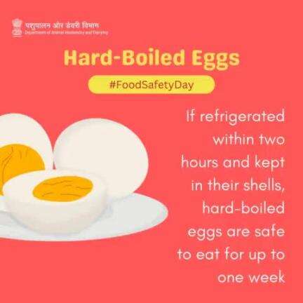 Egg-celent Storage Tips: Keep Hard-Boiled Eggs Fresh! Refrigerate within 2 hours, shell intact, and enjoy safely for up to one week. Yolk's on bacteria—keep those shells on! #FoodSafety #KeepItCool #PerishableGoods