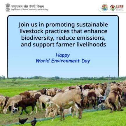 Promote sustainable livestock practices that enhance biodiversity, reduce emissions, and support farmer livelihoods.
 Happy World Environment Day! 
#GreenFarming  #WorldEnvironmentDay2024