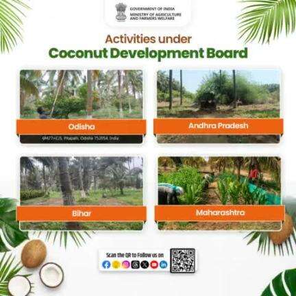 The Coconut Development Board undertook various farm activities & events such as #weeding, #ploughing, #irrigation etc. during the last week of May to first week of June 2024 at DSP Farms of Odisha, Andhra Pradesh, Bihar &  Maharashtra.