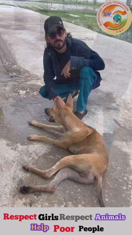 हमारे पप्पी का ऑपरेशन हो चुका है और यह अब ठीक है

Respect Girls help poor help animals 

#apsgurjar #help #dog #operation