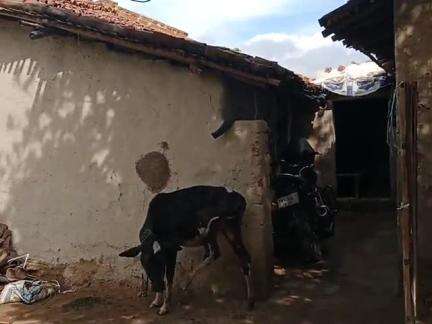 हम लोग का खपड़ा का घर और हम लोग पैस नहीं दे रहे हैं तो मुख्य और वार्ड हम लोग का काम नहीं कर रहा है जो पैसा दे रहा है