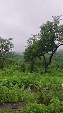 bijapur hanuman mandir