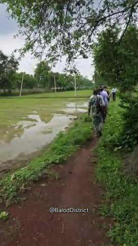 कलेक्टर ने जिले में कृषि कार्यों का लिया जायजा। #baloddistrict #farming