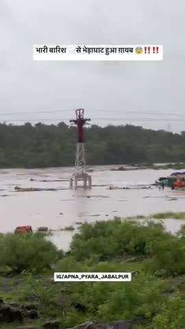 भारी बारिश से भेड़ाघाट में बढ़ा जलस्तर ‼️‼️

#jabalpur #bhedaghat #jabalpur_city #barish 

#breakingnews