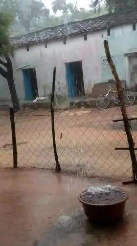 मोहनगढ़ तहसील के बरेठी गांव में हुई भारी बारिश🌧️🌧️
#टीकमगढ़