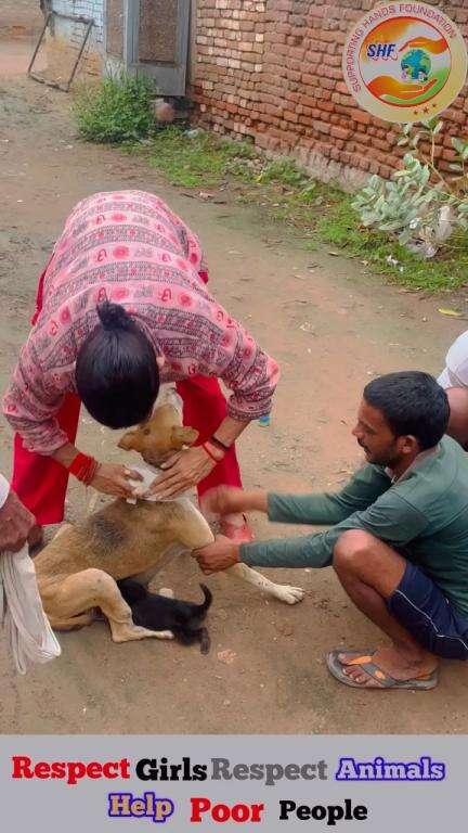 प्यार तो सबने किया 🥺❤️‍🩹 
लेकिन हमसे प्यार किसी ने नहीं किया 🦮💔

Respect Girls help poor help animals 

#apsgurjar #love #real #break #hart