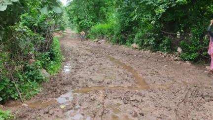 ग्राम पंचायत सिजोरा की सड़कों का बुरा हाल