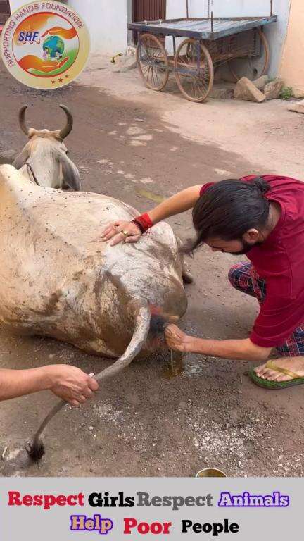 माँ से बड़ा योद्धा इस धरती पर कोई नहीं है।🐄

Respect Girls help poor help animals 

#apsgurjar #help #cow #son #maa #animal