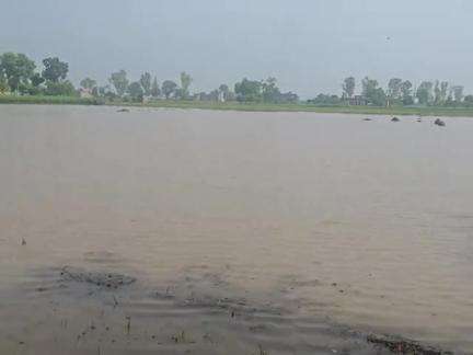 तेज बारिश के कारण किसानों का नुकसान