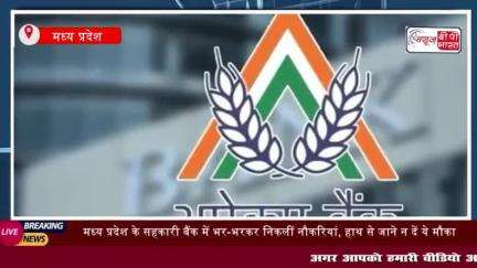 मध्य प्रदेश के सहकारी बैंक में भर-भरकर निकलीं नौकरियां
#मध्यप्रदेश #सहकारी #बैंक  #निकलीं #नौकरियां