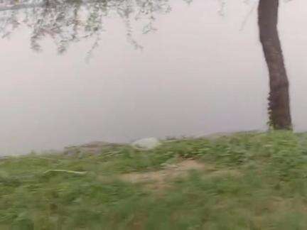 Sultnganj Bhagalpur ke Manjhali Gau me ganga ka pani aagaya