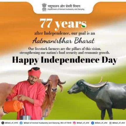 May #India reach new heights,
And may the #Tiranga always soar high,
The Department of Animal Husbandry and Dairying, GoI, wishes everyone a Happy Independence Day!
#IndependenceDay2024