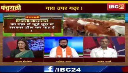 #गौ_सत्याग्रह 
#गाय उपर मात गे हे गदर  

IBC 24 #पंचयती- 3

#सियासी #घमासान #ChhattisgarhNews #छत्तीसगढ़िया #c