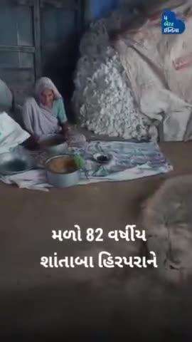 82 વર્ષીય શાંતા બા હિરપરા પ્રાણીઓ અને પક્ષીઓને પોતાના બાળકોની જેમ પ્રેમ કરે છે. 

વિડિયો સૌજન્ય- કનું હિરપરા (FB)
#Bird