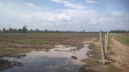 टांडा रेंज अन्तर्गत धीमरी ब्लॉक क्षेत्र में जंगल जुताई व प्लोइंग के नाम पर बड़ा घोटाला, जिला अधिकारी से जांच की मांग