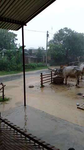 kapva goan me barish #khapi#pani#ha@