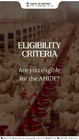 Are you eligible for the AHIDF? 
Check if you qualify and take your animal husbandry projects to new heights!
#AHIDF  #AnimalHusbandry #infrastructuredevelopment