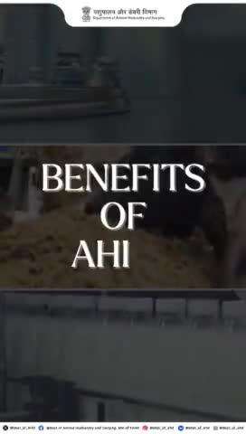 Discover the benefits of AHIDF for your project! With up to 90% loan coverage, convergence with subsidy schemes, and a simple online application process, empowering your business has never been easier.
#ahidf #animalhusbandry