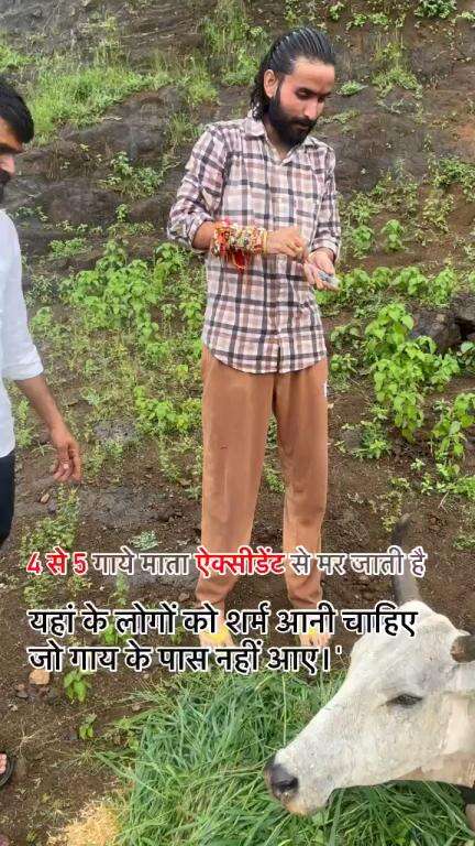 कितनी शर्म की बात है
4 से 5 गाये माता ऐक्सीडेंट से मर जाती है 🐄
Please support 
 #apsgurjar #gwaliorcommissioner #gwalior #new #support