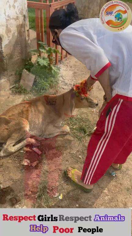 सारथी वनु गाय का कृष्ण भक्ति में ,
में चिंता क्यों करू जब चक्रधारी के साथ में,🙏🏻
 Respect Girls  

#apsgurjar #help #support #viral #cow #krishna