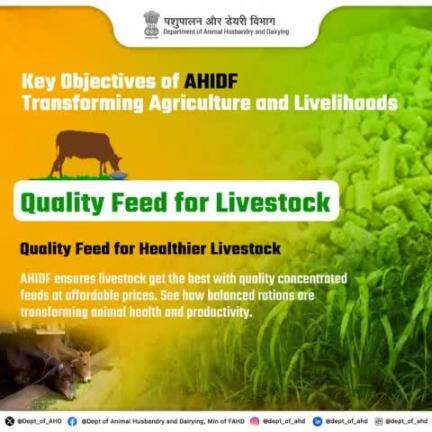 Key Objectives of AHIDF 

Ensure healthier livestock with quality, affordable feed. AHIDF is transforming animal care with balanced rations. 
#AHIDF #nutrition #livestock #Fodder