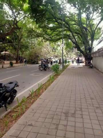 Due to a tree fall on  Rajbhavan Road, the road is closed for traffic. Commuters are requested to use right and left turns at Police Timmaiah junction, Will be cleared soon. Commuters are requested to cooperate