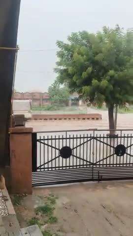 Sojat mein acchi barish