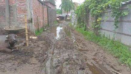 sukhasan panchayat ward number 11 12 Road ka sthiti #Bihar #Madhepura