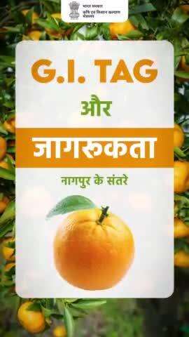 जीआई और जागरूकता!
.
नागपुर के संतरे को जीआई टैग कब मिला और क्यों? आइए जानते हैं इस वीडियो में..

#agrigoi #Orange