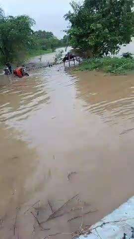 nandadeo padohra marg me pani chandrawal Nadi #news#up#